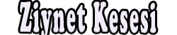 Ziynet Kesesi Logo